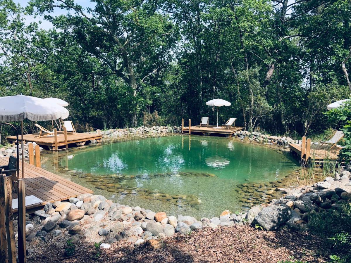 라테스트드뷔크 Le Domaine De La Montagnette 빌라 외부 사진